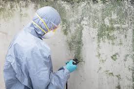 Reliable India Hook, SC Mold Remediation Solutions